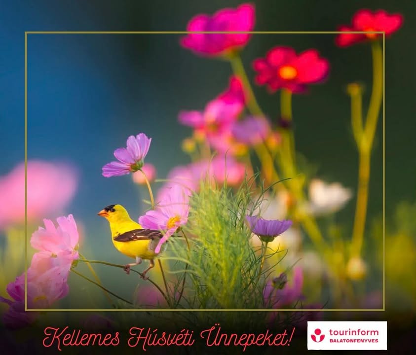 190743287635966_1365128532085675